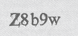 CAPTCHA code