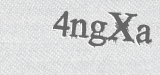 CAPTCHA code