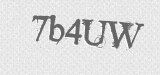 CAPTCHA code