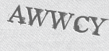 CAPTCHA code