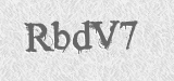 CAPTCHA code