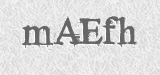 CAPTCHA code