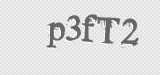 CAPTCHA code