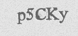 CAPTCHA code