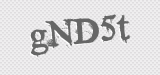 CAPTCHA code