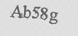 CAPTCHA code