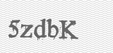 CAPTCHA code