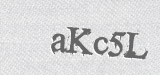 CAPTCHA code