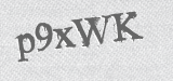 CAPTCHA code