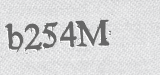 CAPTCHA code