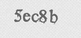 CAPTCHA code