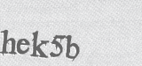 CAPTCHA code