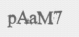 CAPTCHA code