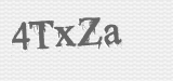 CAPTCHA code