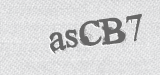 CAPTCHA code