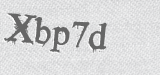 CAPTCHA code