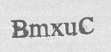 CAPTCHA code