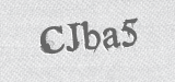 CAPTCHA code