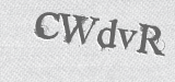 CAPTCHA code