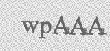 CAPTCHA code