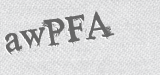 CAPTCHA code
