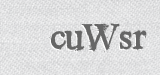 CAPTCHA code