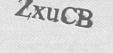 CAPTCHA code