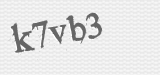 CAPTCHA code