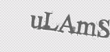 CAPTCHA code