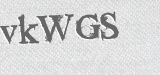 CAPTCHA code