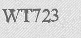 CAPTCHA code