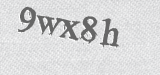 CAPTCHA code