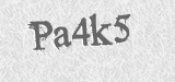 CAPTCHA code