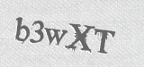 CAPTCHA code