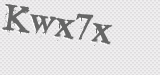CAPTCHA code