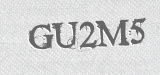 CAPTCHA code