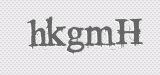 CAPTCHA code