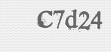 CAPTCHA code