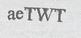 CAPTCHA code