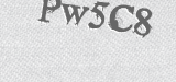 CAPTCHA code