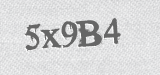 CAPTCHA code