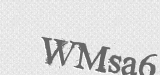 CAPTCHA code