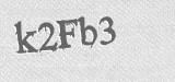 CAPTCHA code