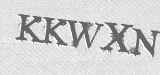 CAPTCHA code
