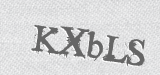 CAPTCHA code