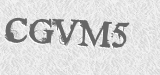 CAPTCHA code