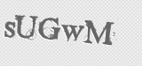 CAPTCHA code