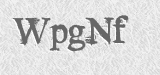 CAPTCHA code
