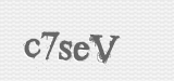 CAPTCHA code