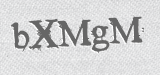 CAPTCHA code